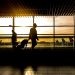 Viajeros aeropuerto