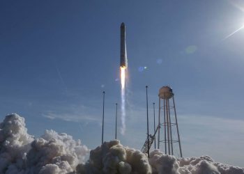 Cygnus