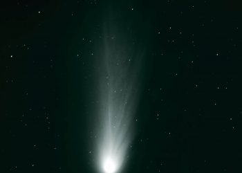 Cometa Halley