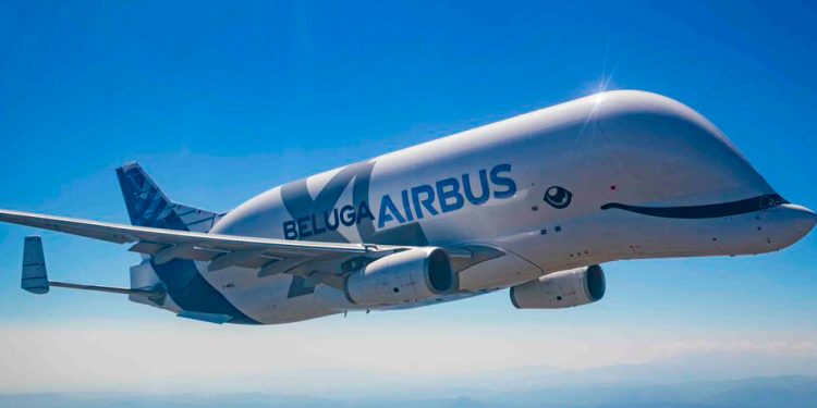 Beluga XL