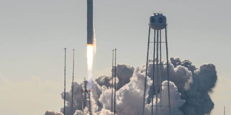 Cygnus