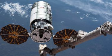 Cygnus