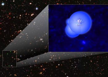 Galaxias