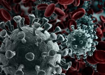 Coronavirus