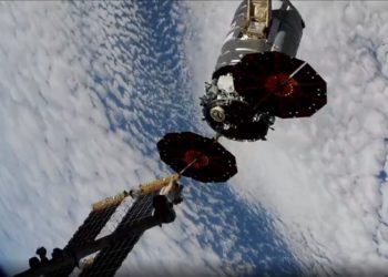 Cygnus