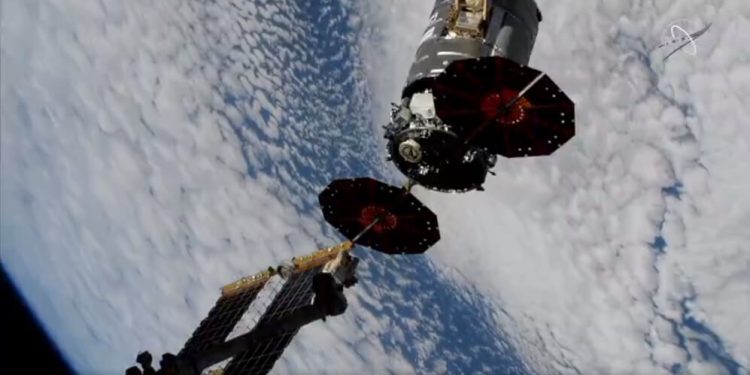 Cygnus