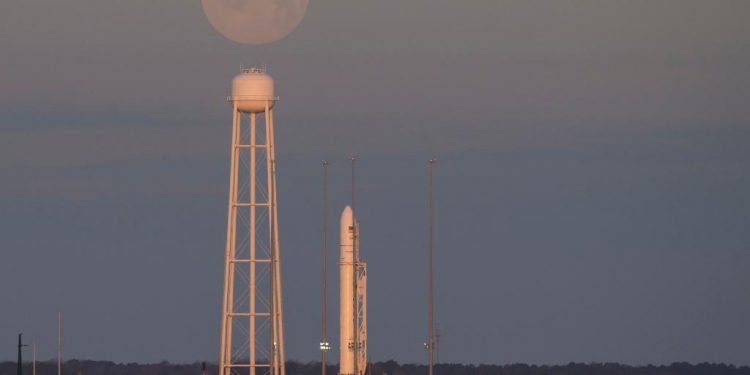Cygnus