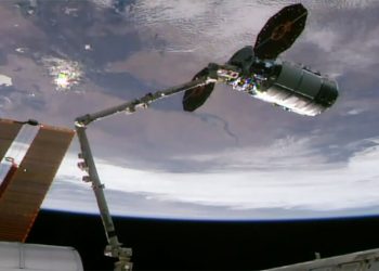 Cygnus