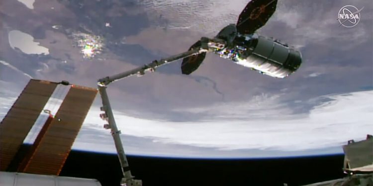 Cygnus