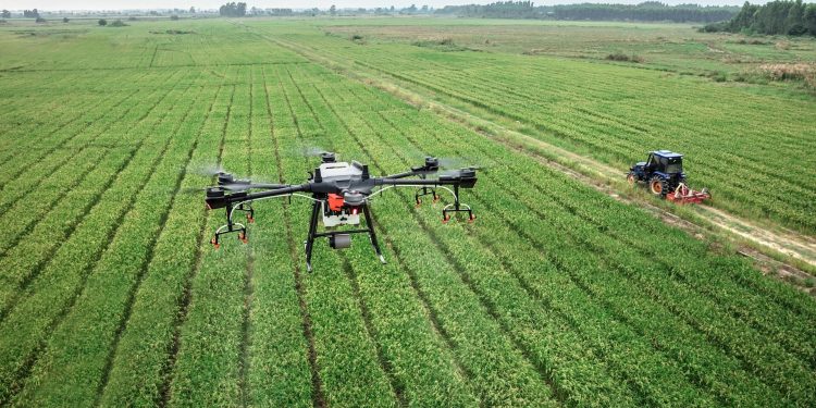 Dron