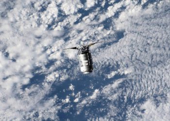 Cygnus