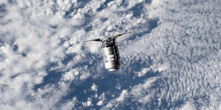 Cygnus