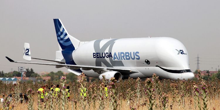 Beluga XL