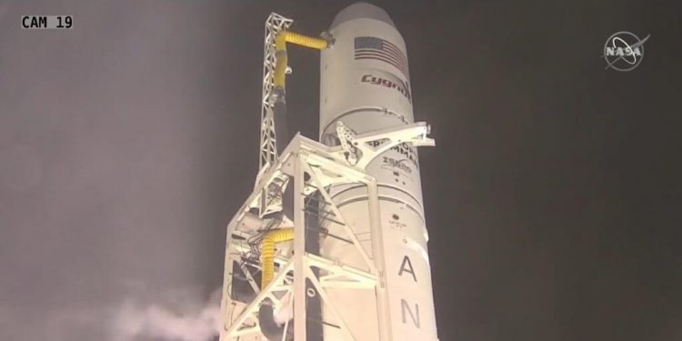 Cygnus