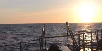 Francia selecciona los drones Survey Copter de ala fija de Airbus para equipar sus barcos