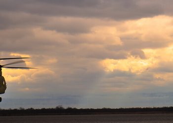 Chinook