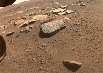 El rover Perseverance, dispuesto a perforar una roca marciana para recolectar muestras