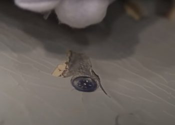 Qatar Airways difunde un vídeo en el que muestra los daños en la superficie de algunos de sus A350