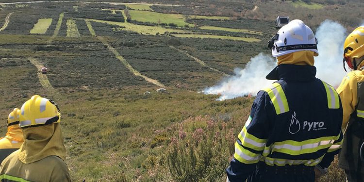 Pyro-Perfil-Incendios-forestales
