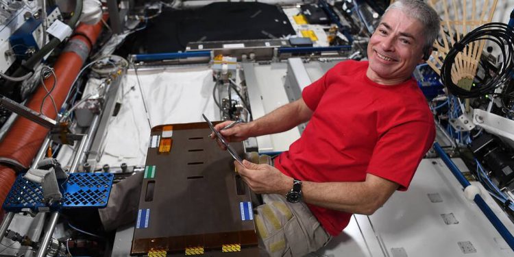 Nasa Mark Vande Hei