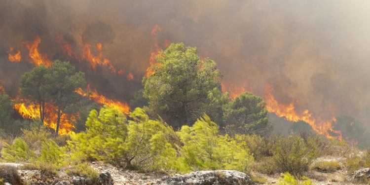 incendios