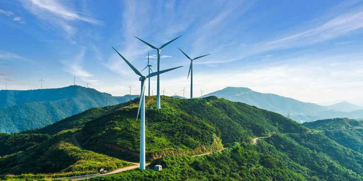 Quality Fly, primera escuela de vuelo de la UE con cursos neutros en carbono