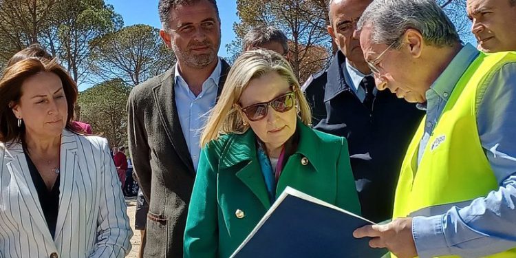 La secretaria de Estado de Defensa supervisó los avances del proyecto CEUS