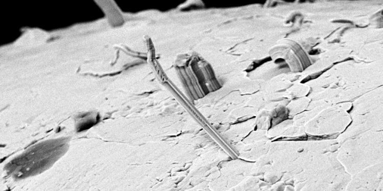 Cidetec lidera un estudio de la ESA sobre whiskers