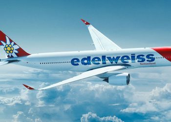 Edelweis