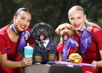 Virgin Australia aceptará a las mascotas a bordo