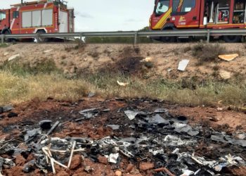 Muere un piloto al caer su avioneta impactada por un buitre 