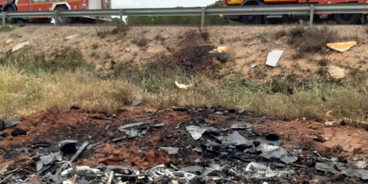 Muere un piloto al caer su avioneta impactada por un buitre 