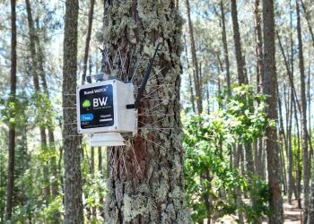 Hispasat - sistema deteccion incendios