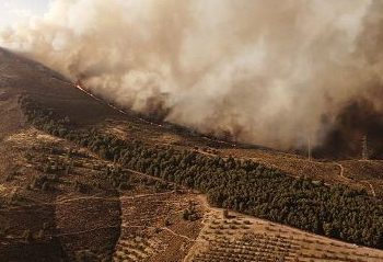 Telespazio Ibérica aplicará tecnología satelital para vigilar los cortafuegos en Andalucía