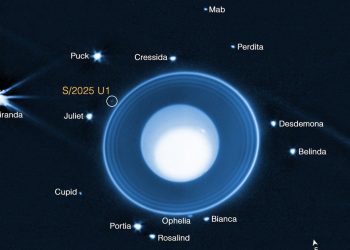 Descubren una nueva luna orbitando Urano. Fuente: NASA, ESA, CSA, STScI, M. El Moutamid (SwRI), M. Hedman (University of Idaho)