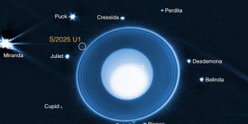 Descubren una nueva luna orbitando Urano. Fuente: NASA, ESA, CSA, STScI, M. El Moutamid (SwRI), M. Hedman (University of Idaho)