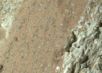 El rover Perseverance descubrió manchas de leopardo en una roca. Fuente: Nasa/JPL- Caltech/MSSS