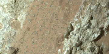El rover Perseverance descubrió manchas de leopardo en una roca. Fuente: Nasa/JPL- Caltech/MSSS