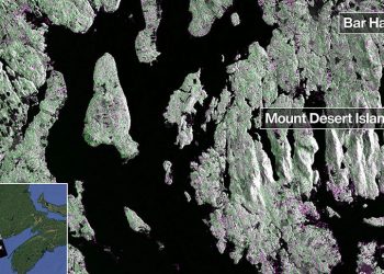 Imagen del radar de banda L de NISAR que muestra la isla Mount Desert de Maine. Fuente: Nasa/JPL-Caltech