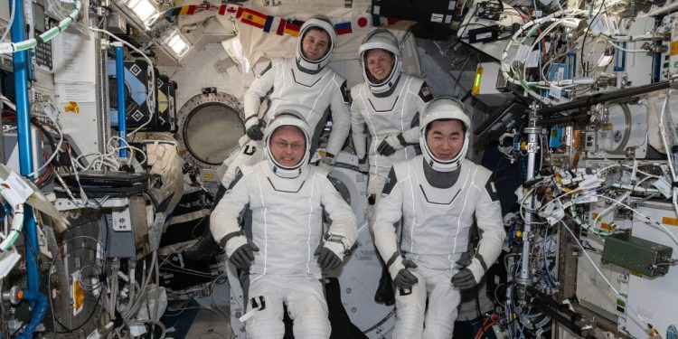Los cuatro miembros de la tripulación SpaceX Crew-11. Fuente: Nasa