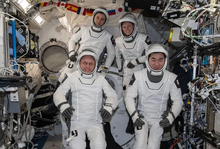 Los cuatro miembros de la tripulación SpaceX Crew-11. Fuente: Nasa