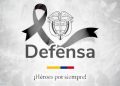 Fuente: Ministerio Defensa de Colombia