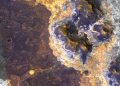 El rover ExoMars de la ESA apunta a una vasta extensión de arcilla en busca de vida. Fuente: ESA