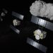 Hayabusa2 se prepara para un nuevo hito con el sobrevuelo del asteroide Torifune. Fuente: JAXA/IKESHITA Akihiro