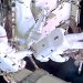 Los astronautas de la Nasa completan una caminata espacial fuera de la ISS para realizar modificaciones. Fuente: Nasa.